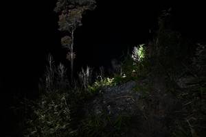 BIB: 
                            <button type="button" onclick="openModal(13553096)" class="btn btn-primary btn-sm float-right btn-popup" data-toggle="modal" data-target=".modal-high-quality">
                        <i class="fas fa-shopping-cart"></i> Add to Cart
                    </button>
                                            <button type="button" onclick="isThisMe(13553096, true)" class="btn btn-success btn-sm float-right btn-popup btn-isme hidden" data-toggle="tooltip" data-placement="bottom" title="นี่คือรูปของคุณใช่ไหม คลิกที่นี่เพื่อเอาเข้าอัลบั้ม">
                        <i class="fas fa-plus"></i> Add to album
                    </button>
                    <button type="button" onclick="isThisMe(13553096, false)" class="btn btn-warning btn-sm float-right btn-popup btn-isnotme hidden">
                        <i class="fas fa-ban"></i> Remove from album
                    </button>